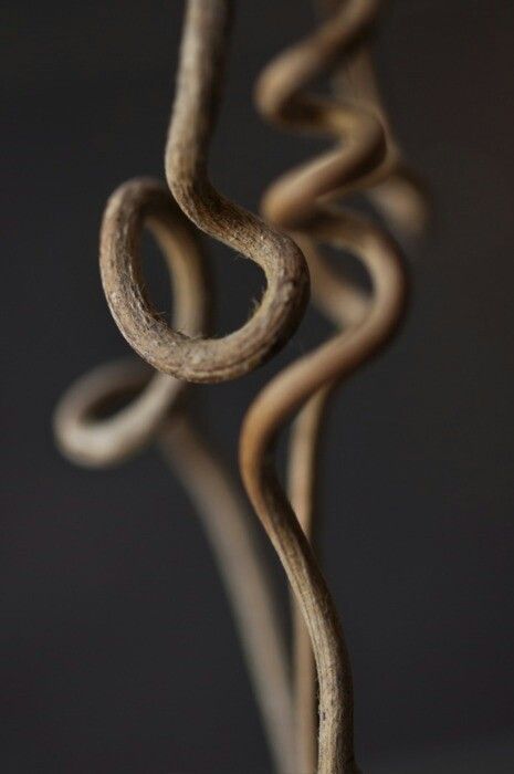 Loremo Duft Herznote 