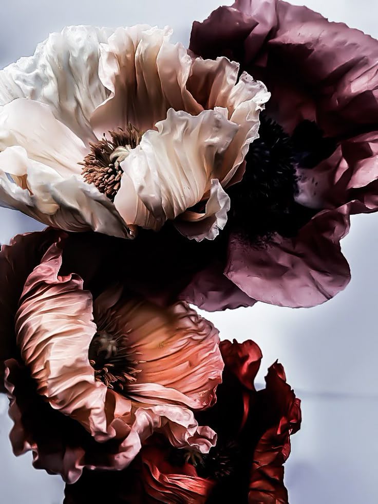 Parfum Loremo Blüten